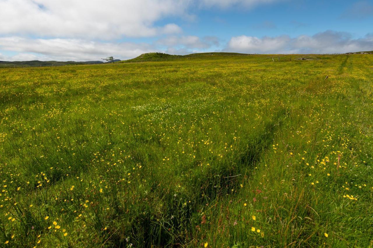 21 Callanish Luxury Pod Zewnętrze zdjęcie