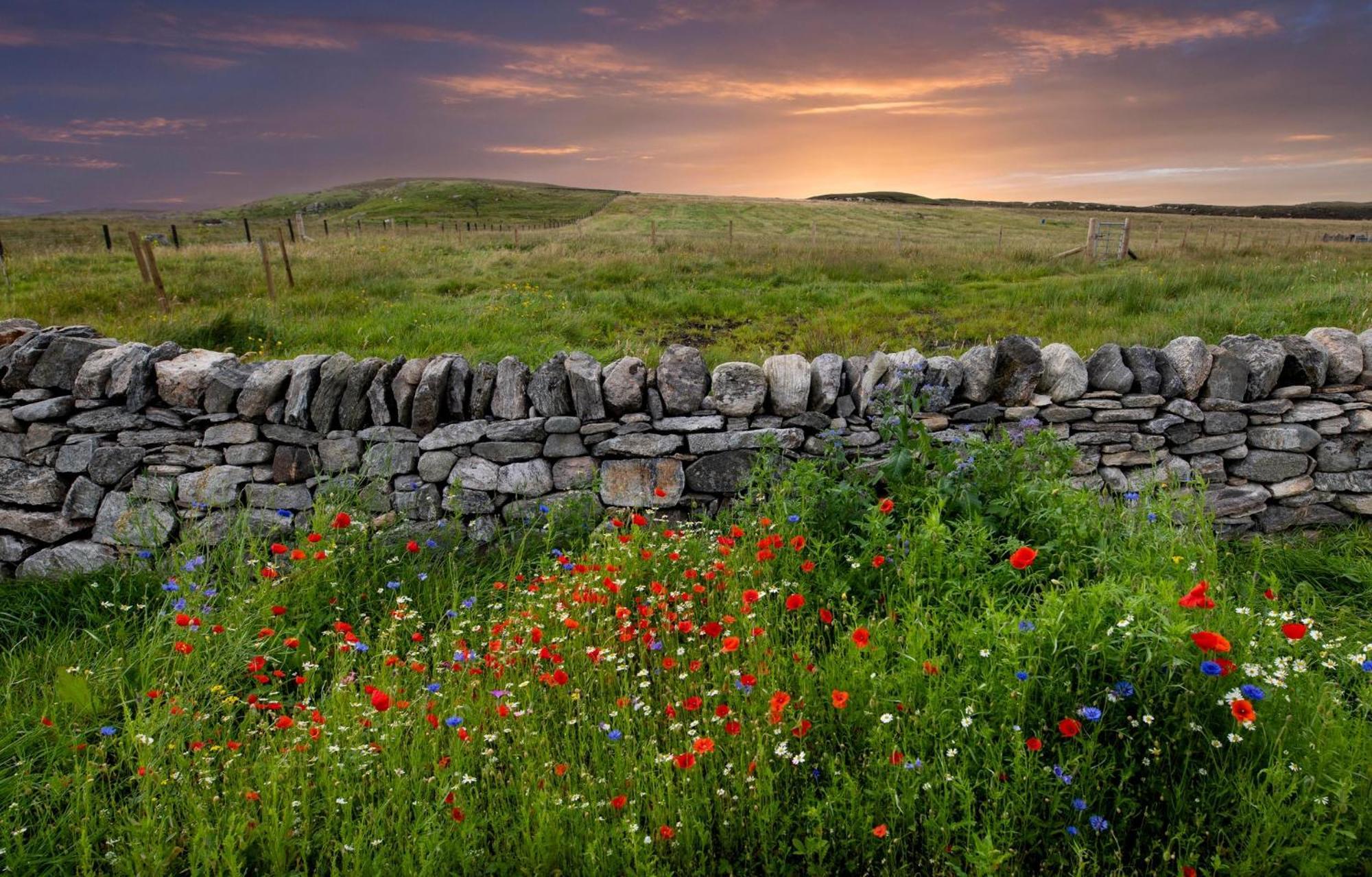 21 Callanish Luxury Pod Zewnętrze zdjęcie